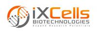 iXCells Biotechnologies 