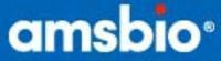 Amsbio